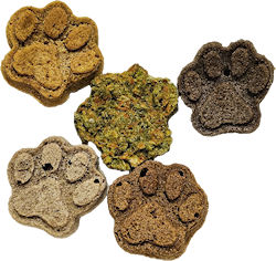 Delicious Dog Treats