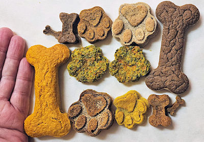 Delicious Dog Treats