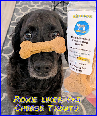 Roxie likes cheese treats